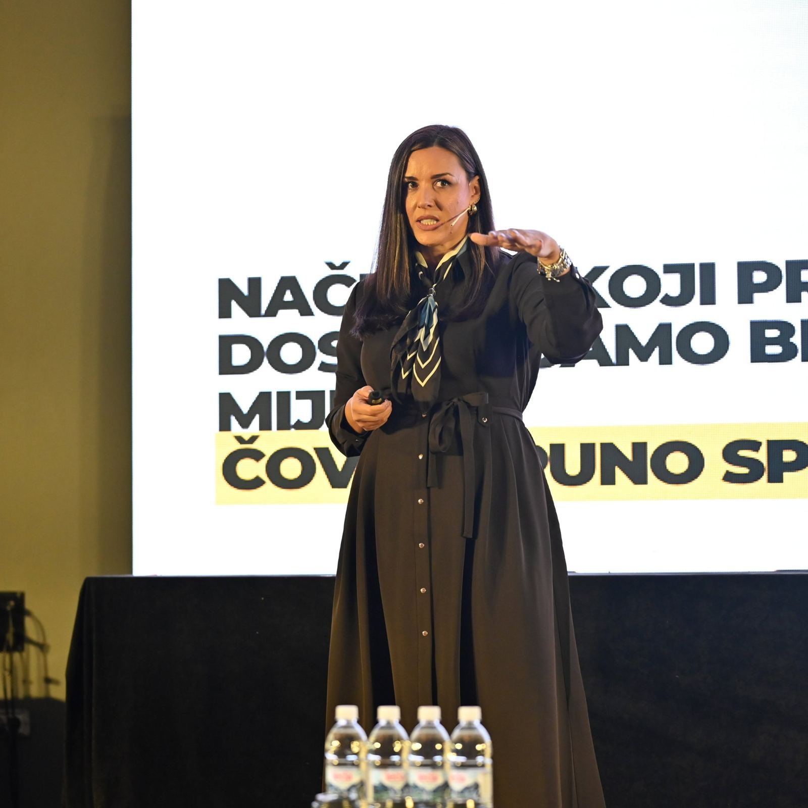 Predavanje u Čapljini